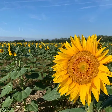Cosy French Retreat In Hébergement de vacances Brettes