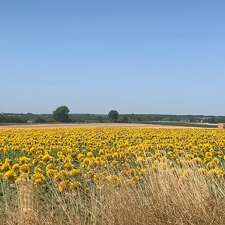 Hébergement de vacances Cosy French Retreat In